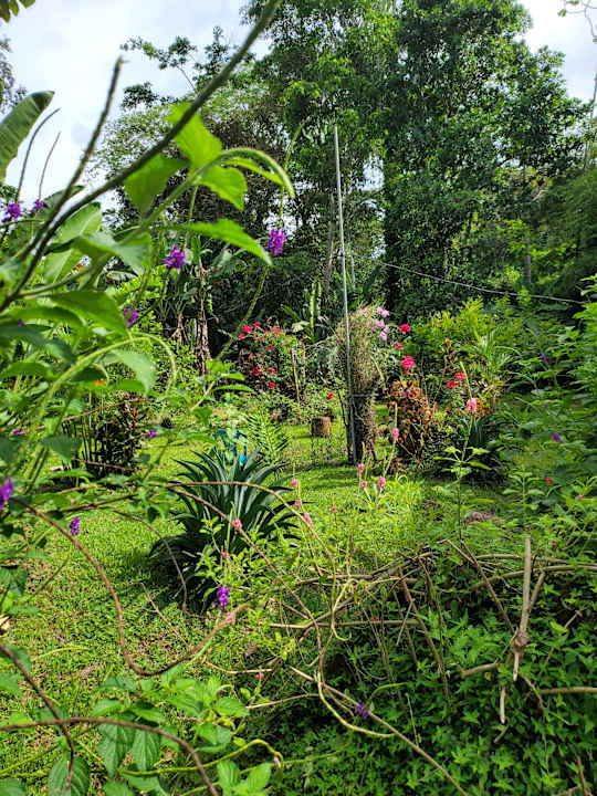 Gartenanlage Casa Magdalena Cahuita