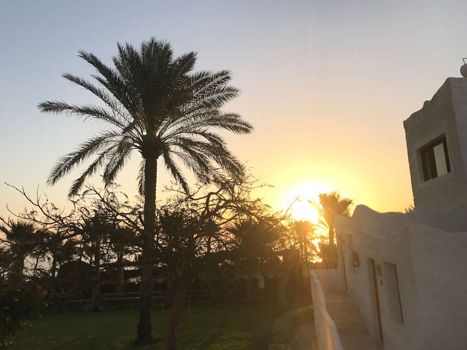 Garten Sharm Club Beach Resort