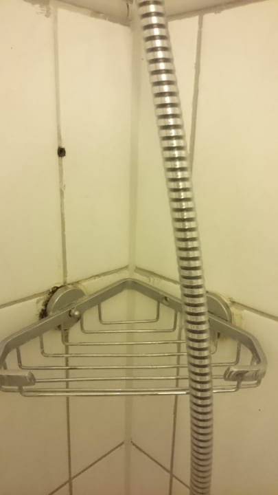 Zimmer Hotel und Gasthof Zum Lindenweiler