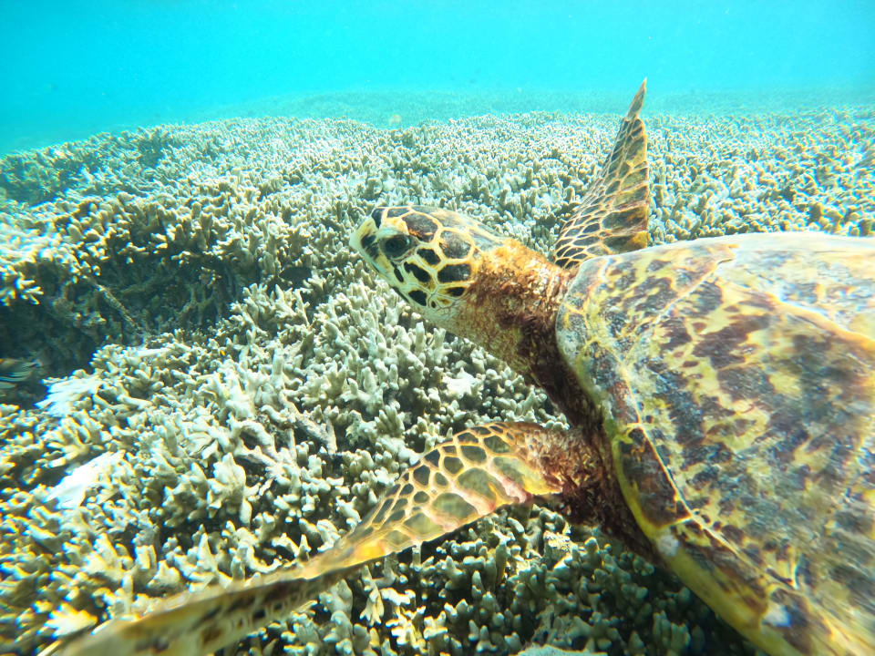 Sport & Freizeit Adaaran Select Hudhuran Fushi - Premium All Inclusive