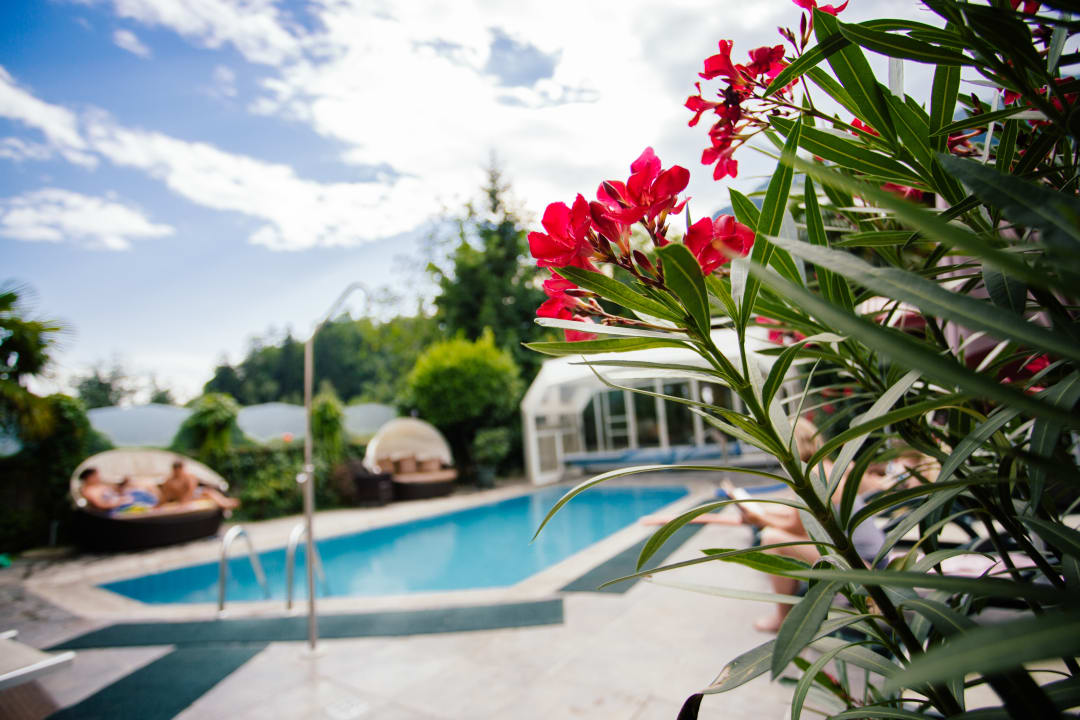 Pool Hotel Pension Sonnegg