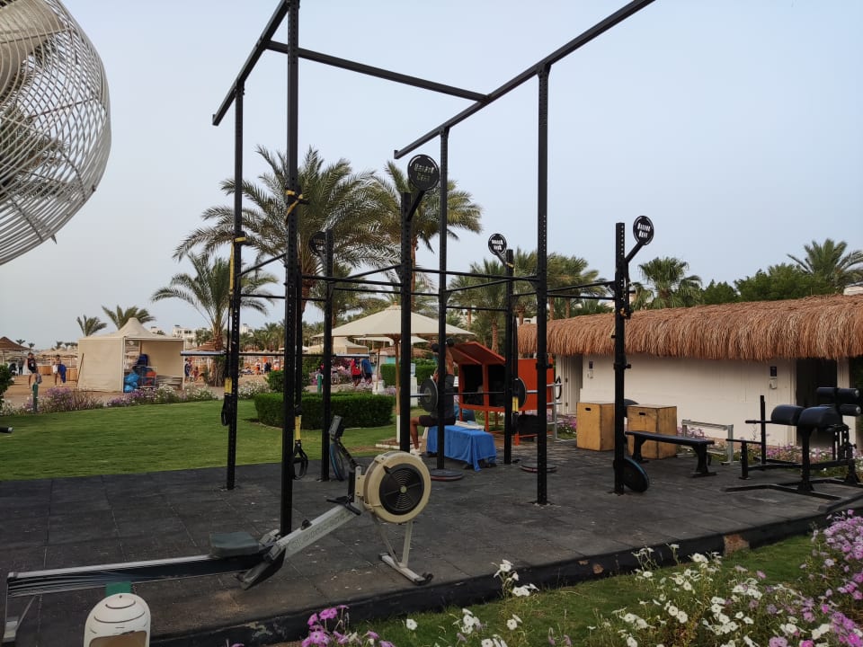 Sport & Freizeit Desert Rose