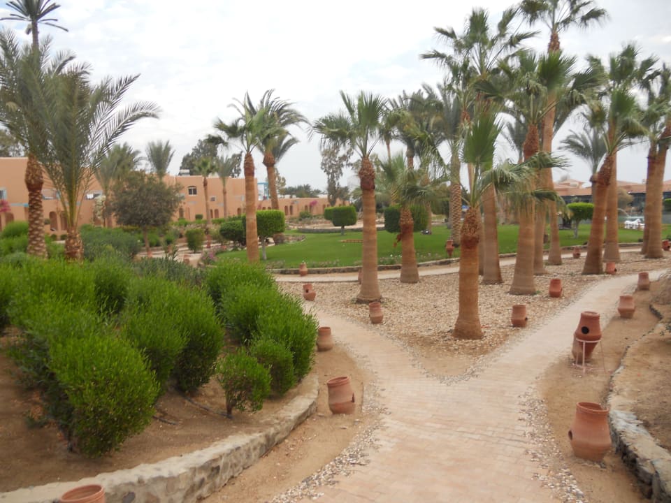 Weg zum Strand Club Paradisio El Gouna, Red Sea