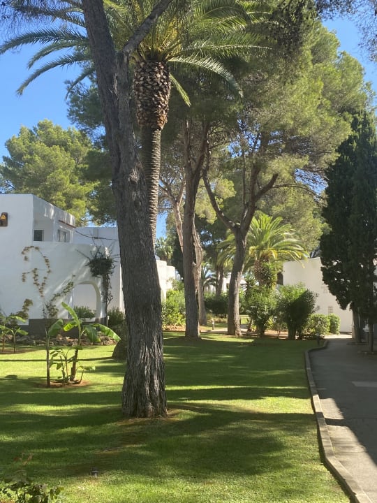 Gartenanlage TUI MAGIC LIFE Cala Pada