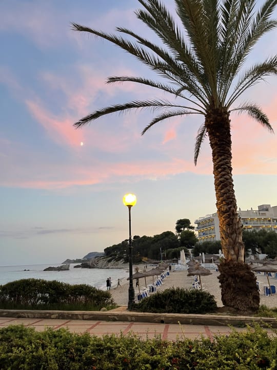 Ausblick Son Moll Sentits Hotel & Spa