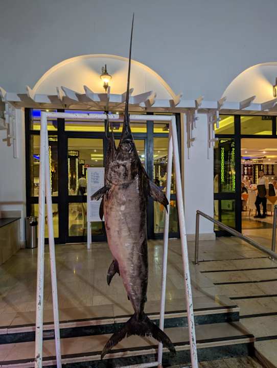 Gastro Fantazia Resort Marsa Alam