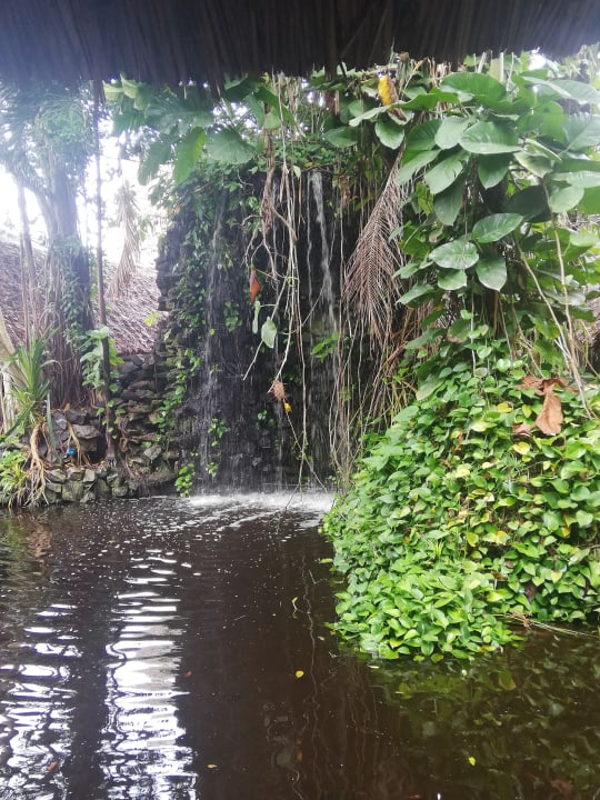 Gartenanlage Hotel Southern Palms Beach Resort