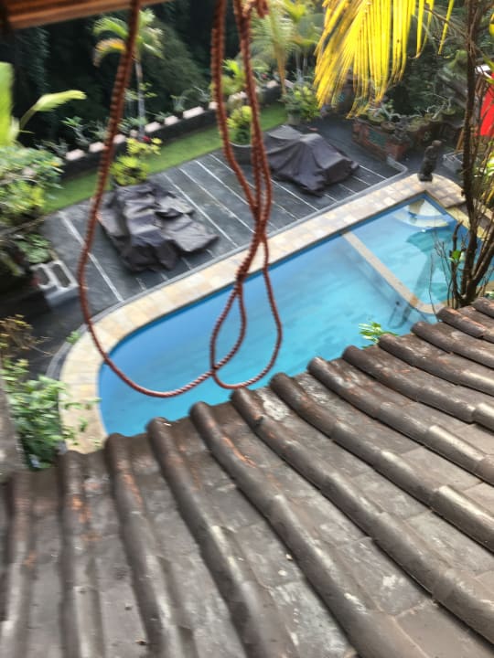 Pool Hotel Ketut's Place