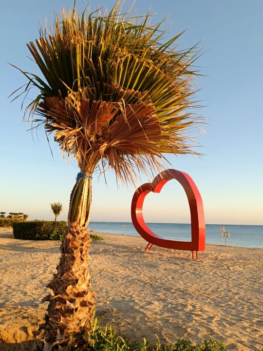 Gartenanlage Three Corners Equinox Beach Resort