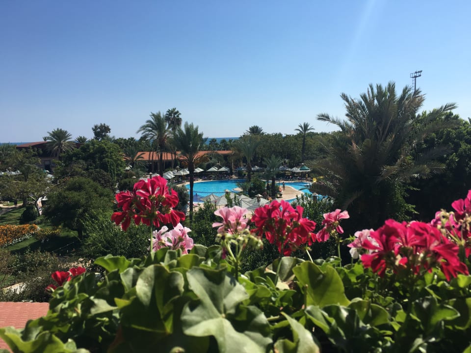 Ausblick Belconti Resort Hotel