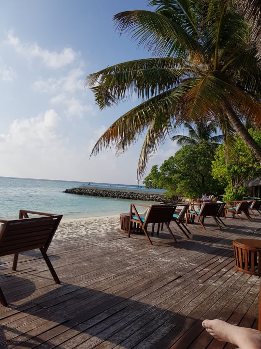 Strand Summer Island Maldives