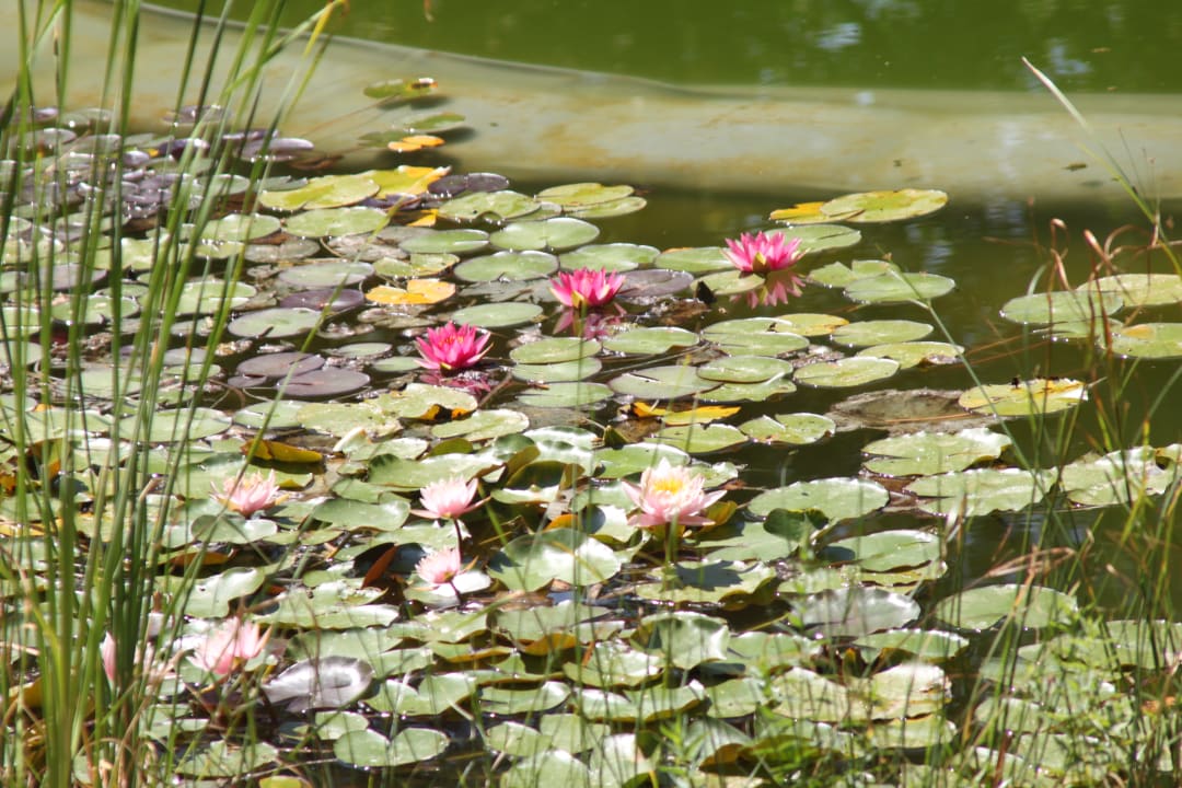 Pool Locanda Casanuova