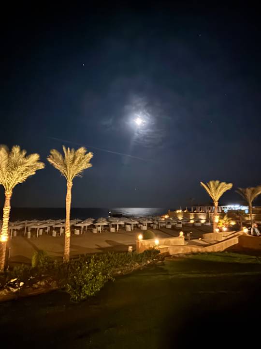 Strand JAZ Neo Reef Marsa