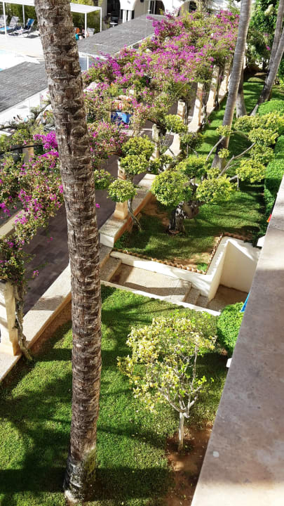 Gartenanlage Hotel Rosella by Intelier