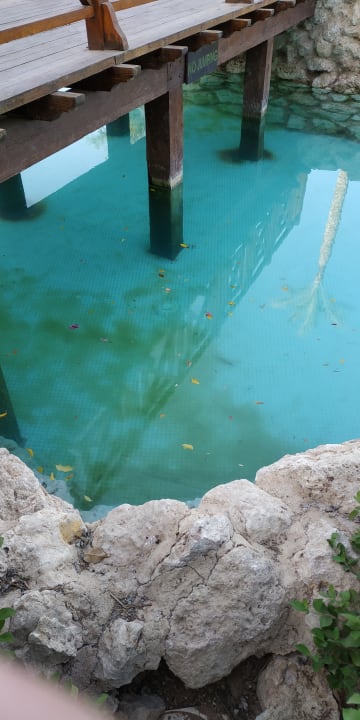 Pool Ghazala Gardens