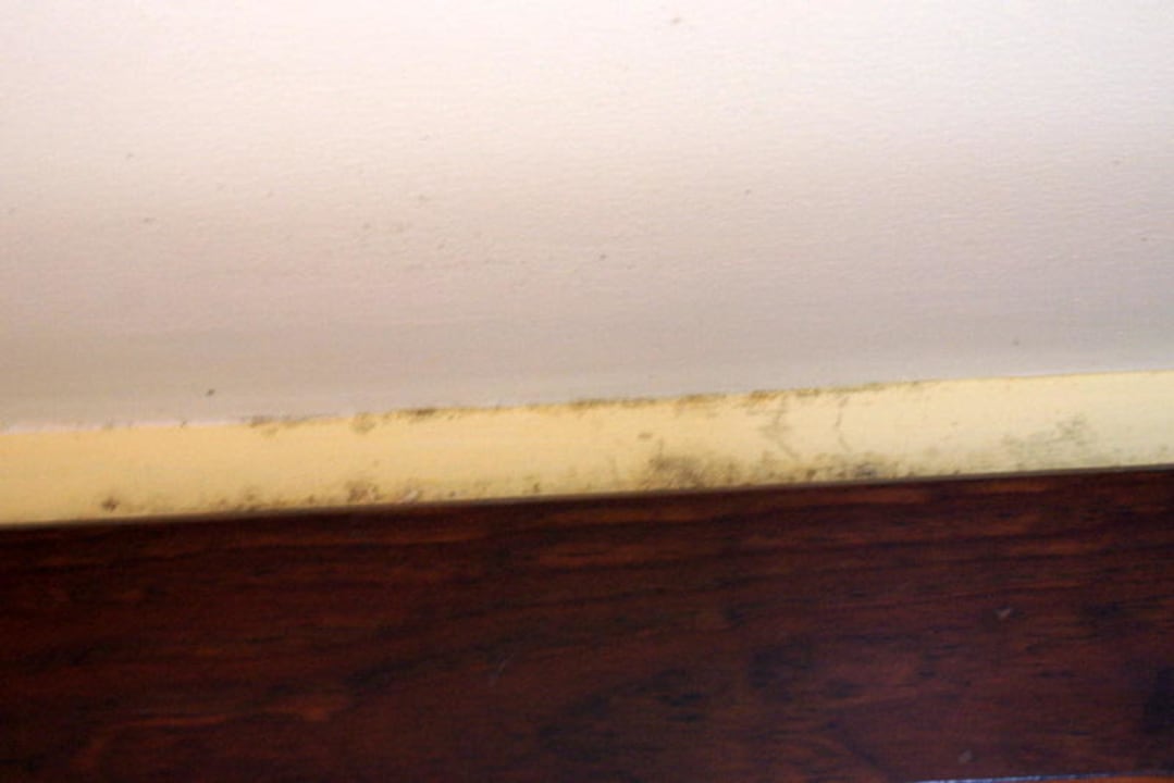 Schrankdecke Hotel Riu Negril