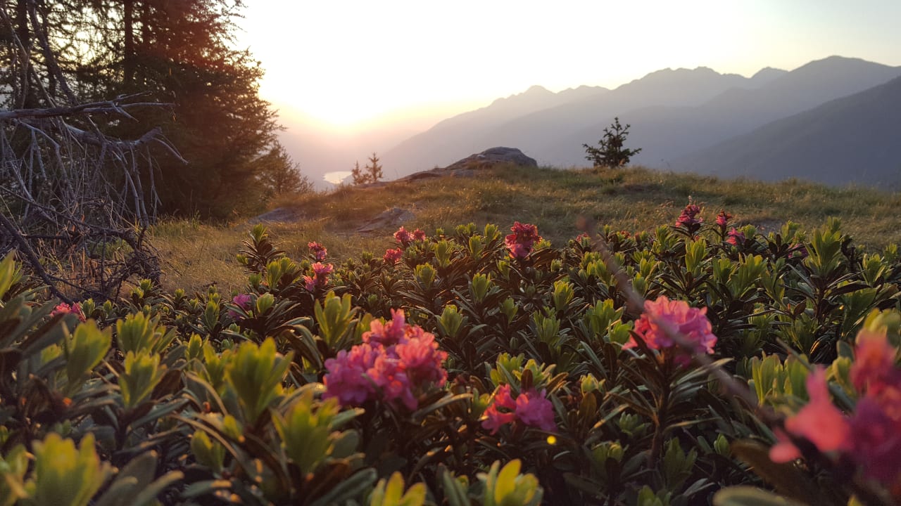 Sonstiges Vitalhotel Rainer