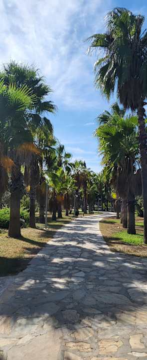 Gartenanlage Club Grand Side