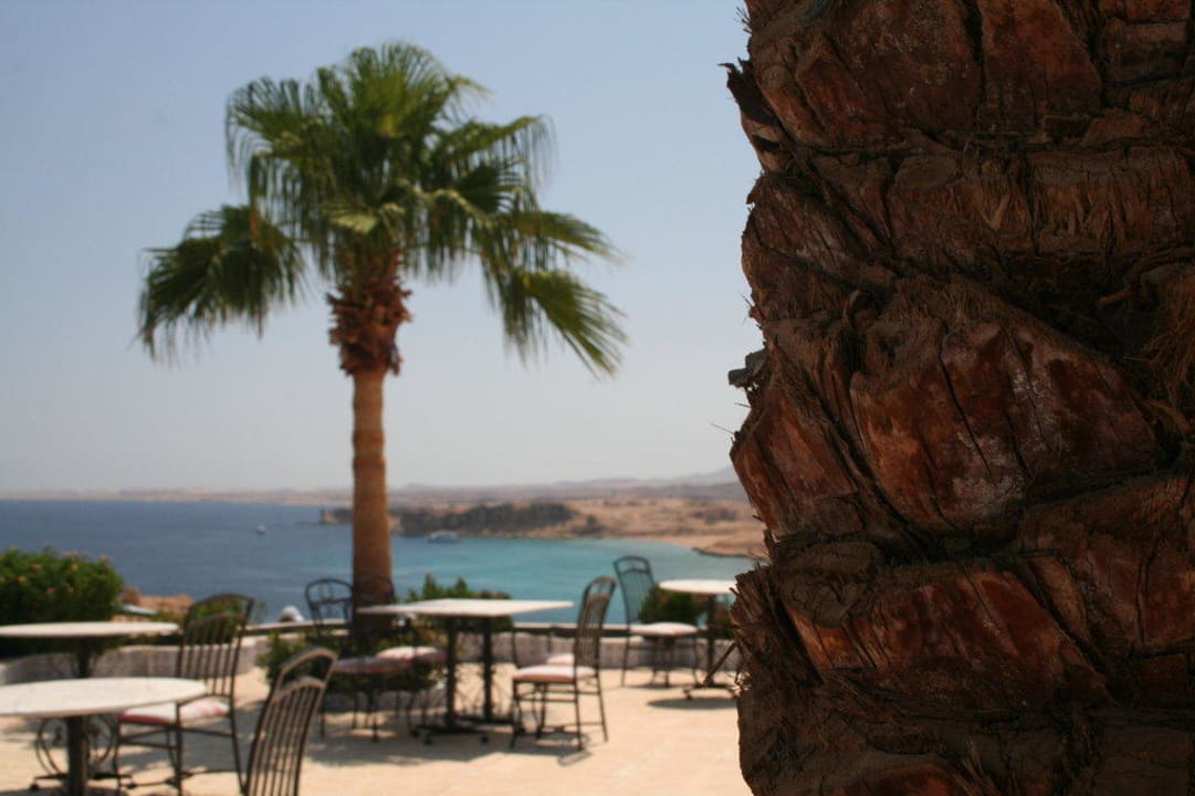 Stoliki przy basenie Albatros Sharm Resort