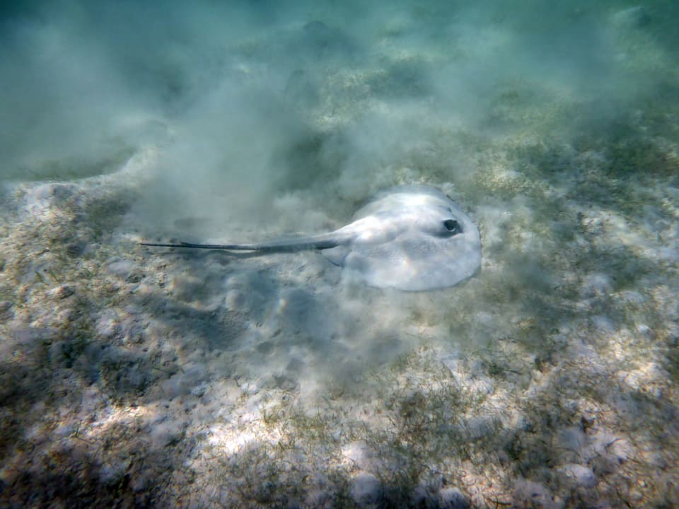 Sport & Freizeit Akumal Bay Beach & Wellness Resort