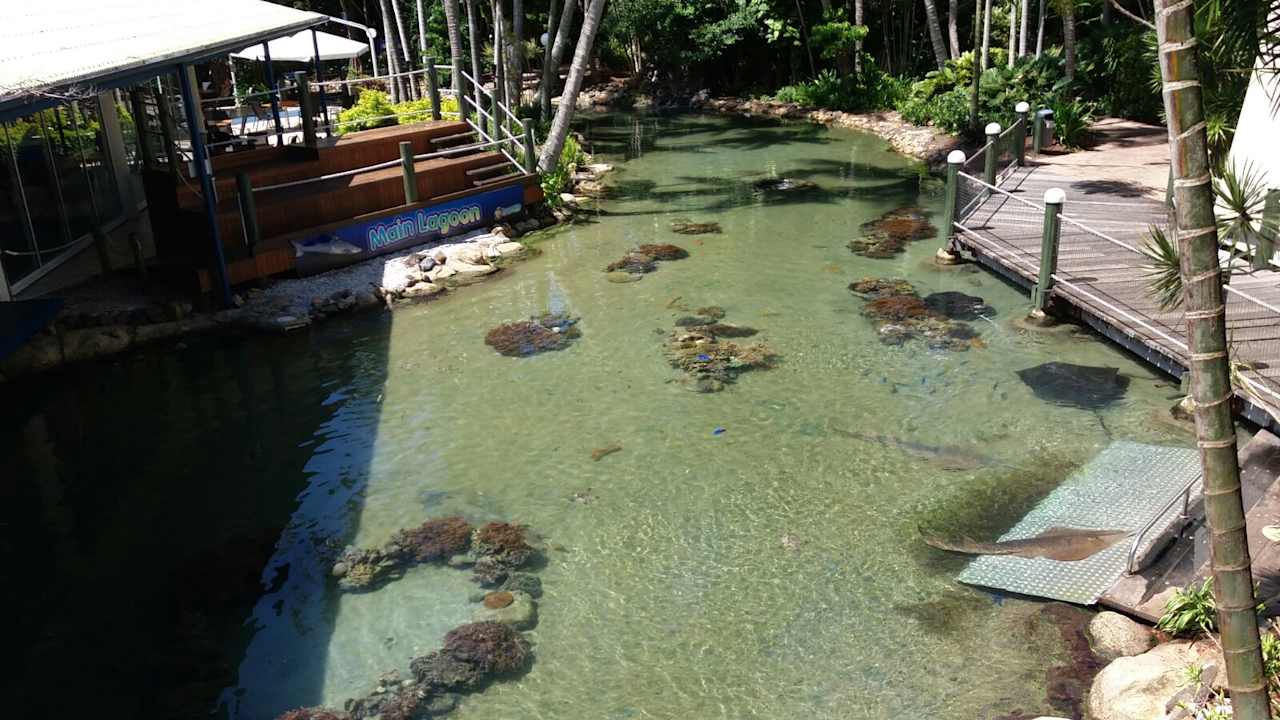 Gartenanlage Daydream Island Resort and Spa