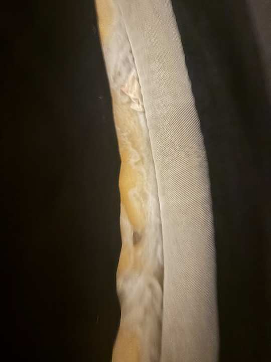 Zimmer Royal Park Hotel & Aqua park