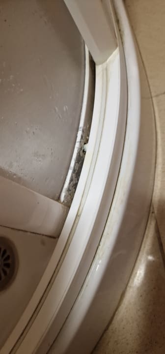 Zimmer Globales Acuario