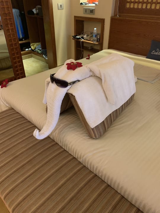 Zimmer Grand Waterworld Makadi & Family Star Makadi