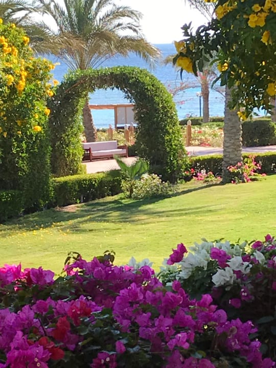 Gartenanlage Fantazia Resort Marsa Alam