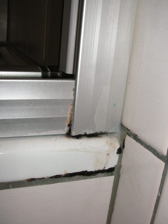 Schimmel im Bad Hotel Lahnblick