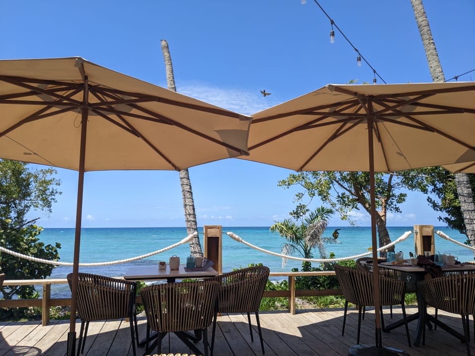 Ausblick Secrets La Romana Resort & Spa - Adult Only