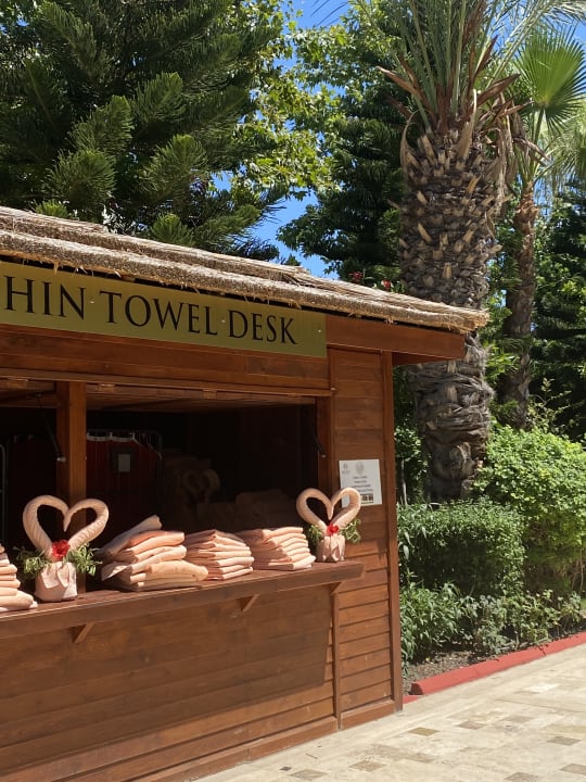 Pool Hotel Delphin Imperial