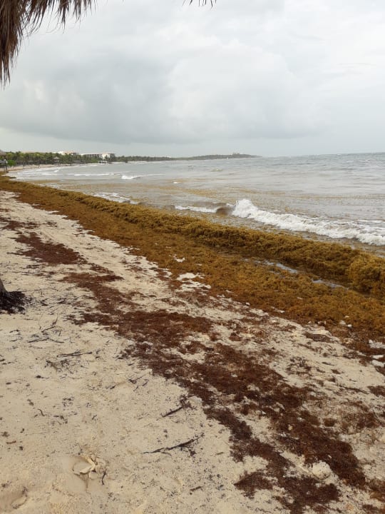 Strand Grand Palladium Colonial Resort & Spa