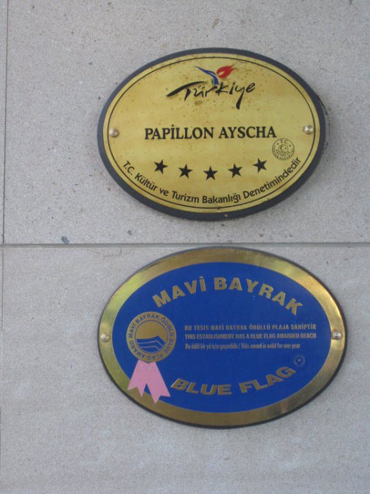 Auszeichnung Papillon Ayscha