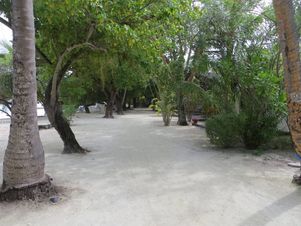 Spaziergang am Strand und den Beachvillen Adaaran Select Hudhuran Fushi - Premium All Inclusive