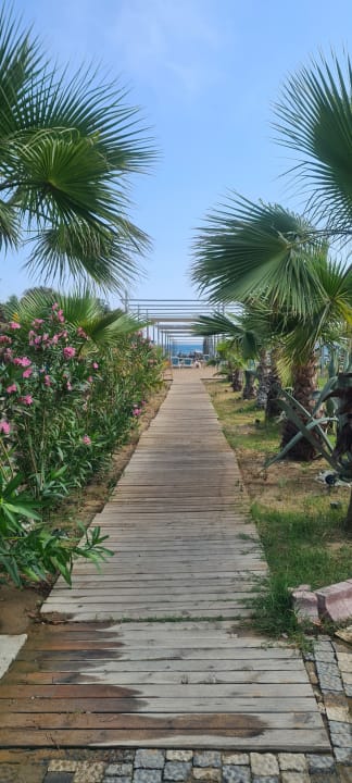 Ausblick Dream World Palace Hotel