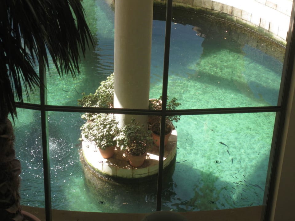 Blick von Lobby zur Marina - glasklares Wasse Hilton Malta