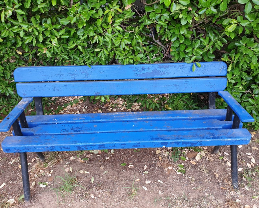 Gartenanlage Hotel Albatros