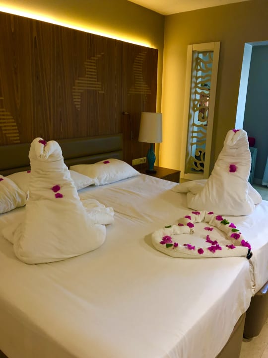 Zimmer PALOMA Perissia