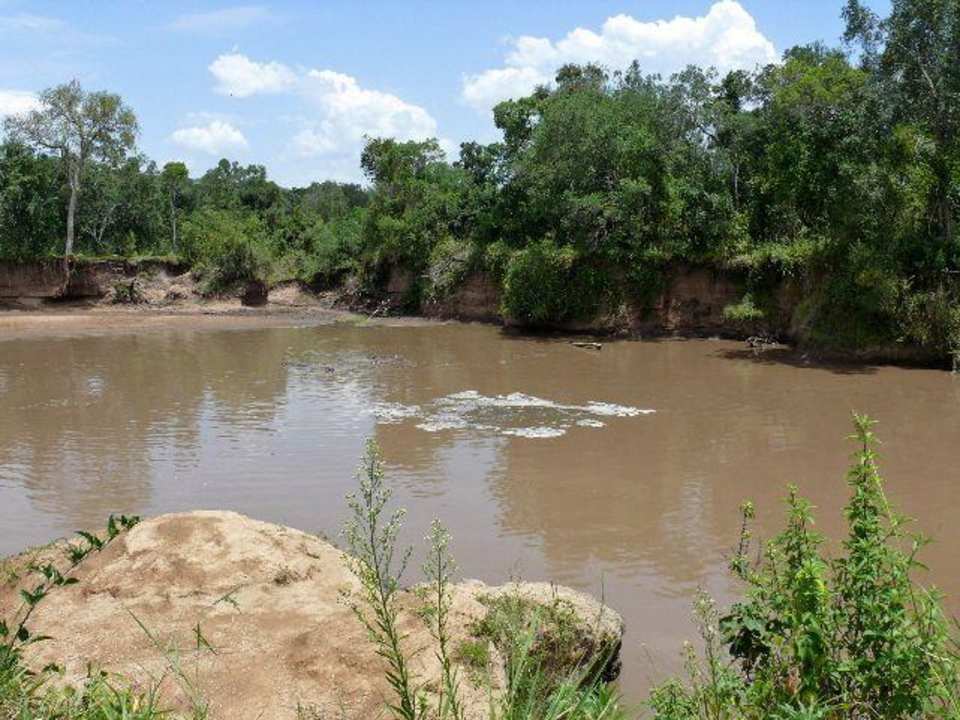 Die Hippo-Lagune des Royal Mara Royal Mara Safari Lodge