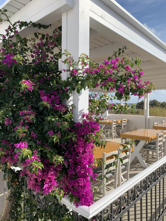 Gastro Hotel Imperial Med Resort & Spa