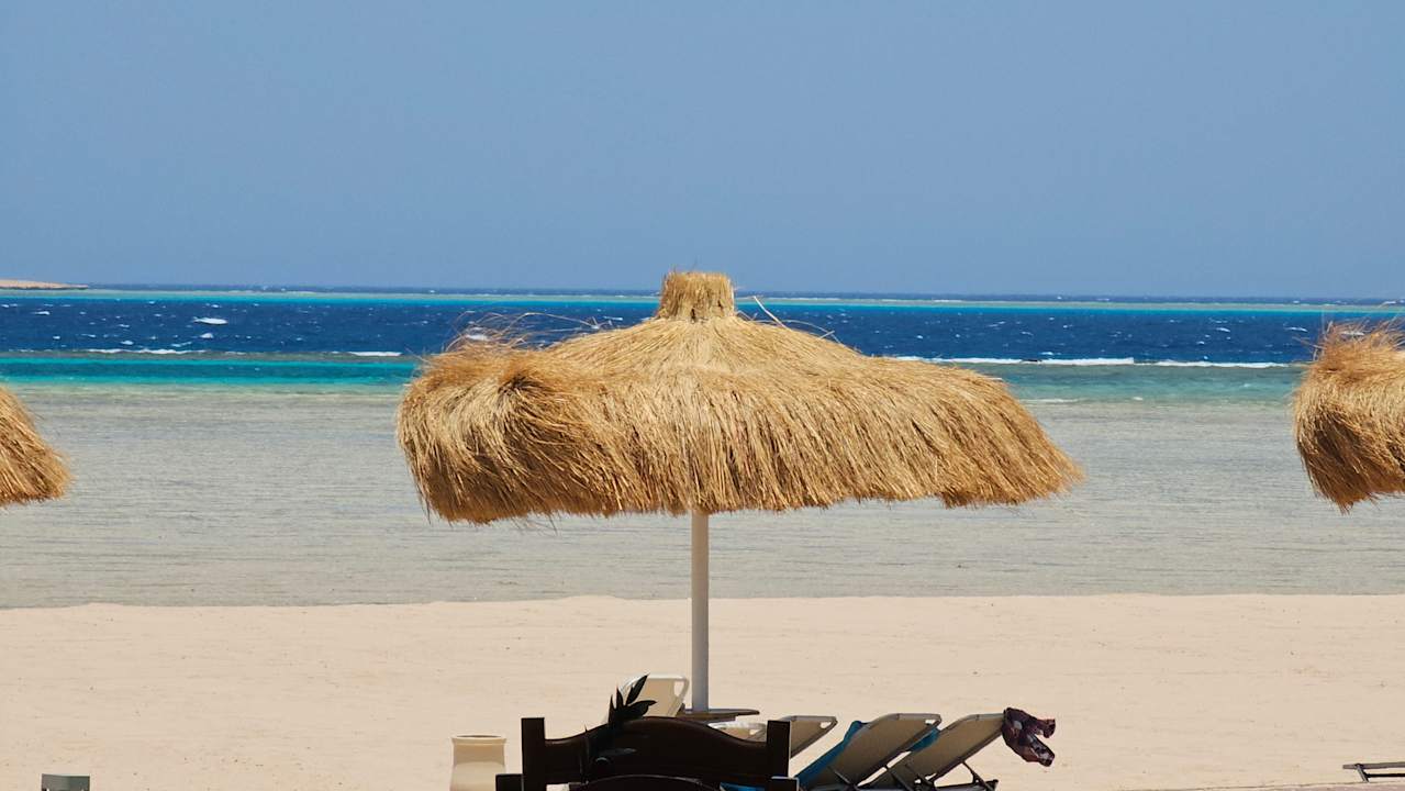 Strand JAZ Elite Asteria