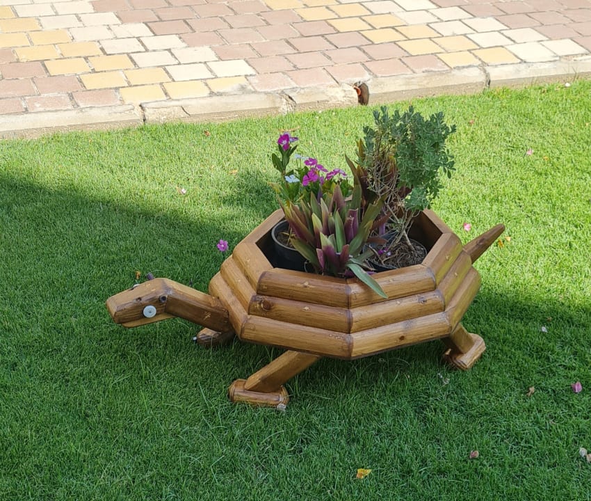 Gartenanlage Jaz Soma Beach