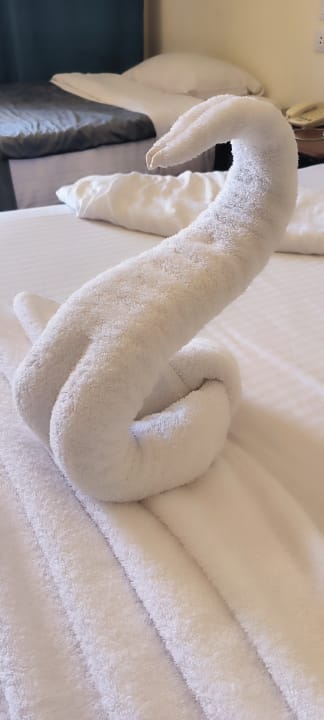 Zimmer Three Corners Sea Beach Resort