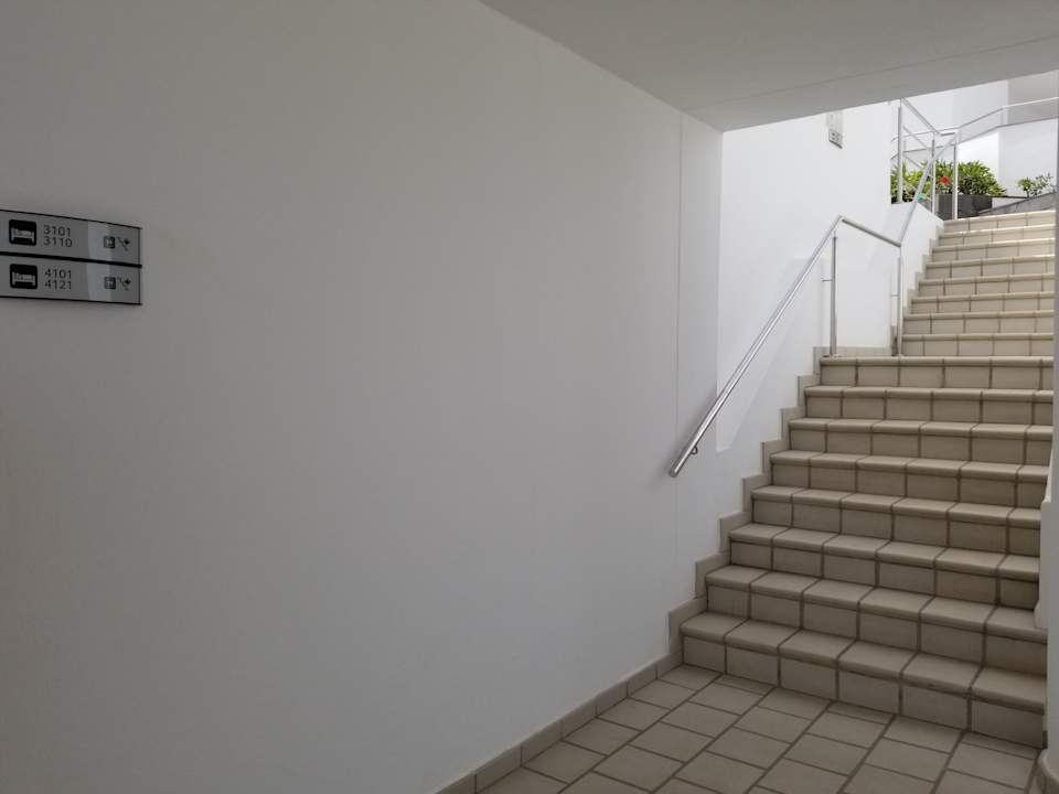 Gartenanlage Hotel Riu Palace Jandia