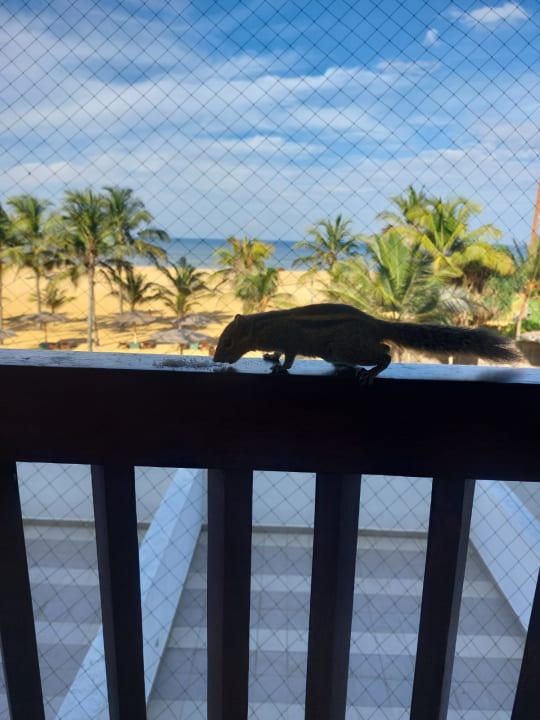 Ausblick Goldi Sands Hotel