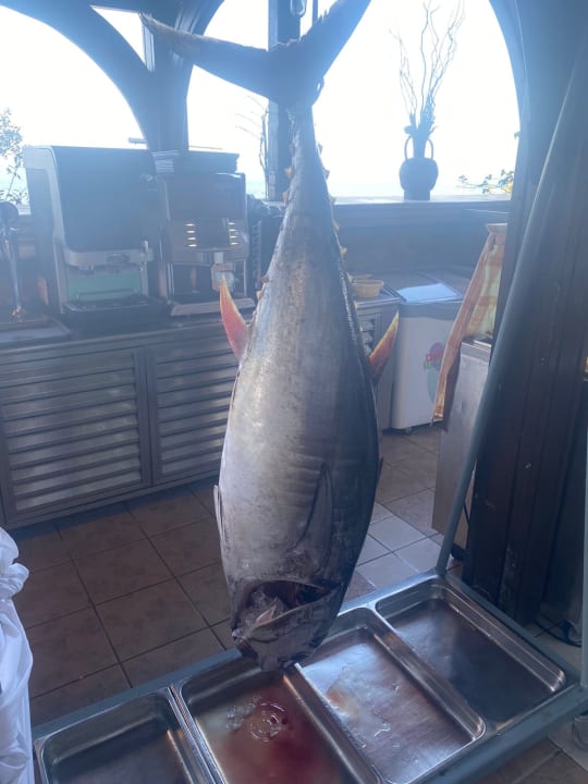 Gastro Hotel Kalithea Horizon Royal