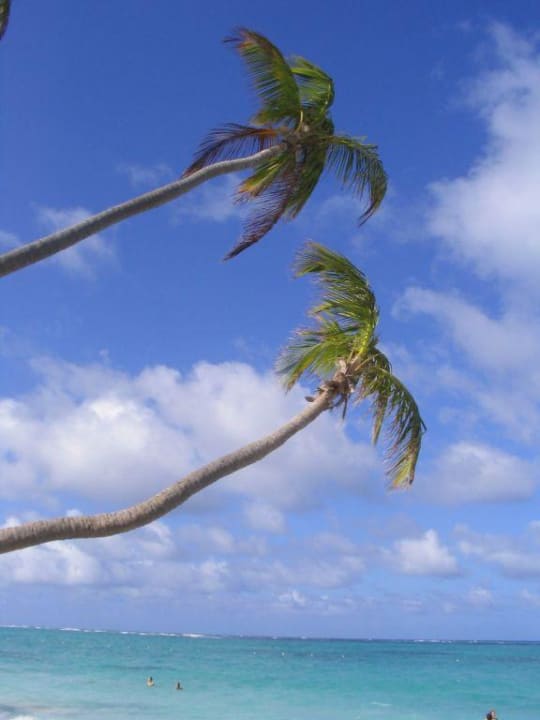 Palmen Grand Palladium Punta Cana Resort & Spa