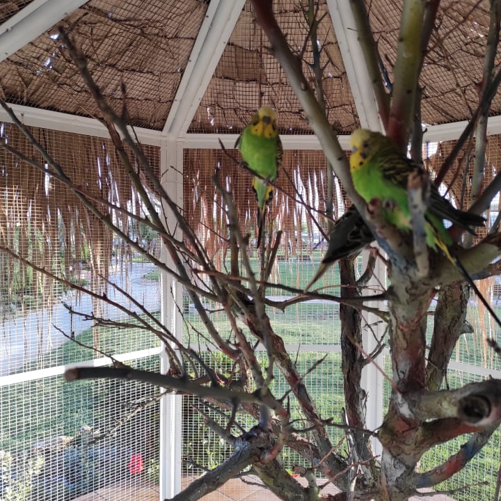 Sonstiges Anissa Beach & Village