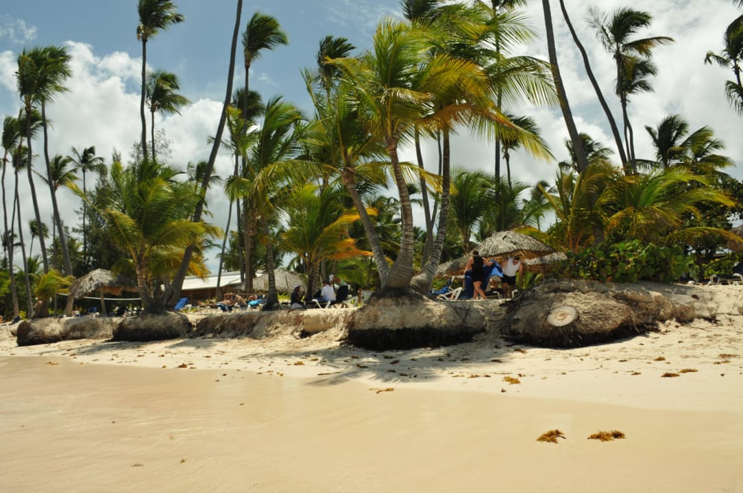 Plaza przy hotelu Grand Palladium Punta Cana Resort & Spa